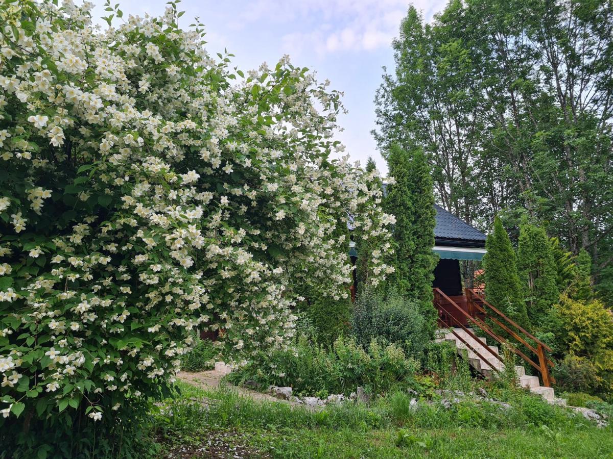 Villa House Poljana Plitvička Jezera Exterior foto